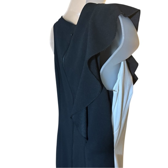 Adrianna Papell Ruffle Mini Dress in Black and White - Picture 3 of 5